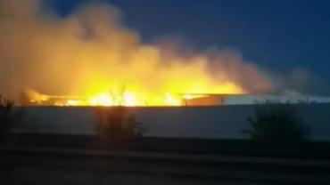 Şanlıurfa'da besi çiftliğinde büyük yangın