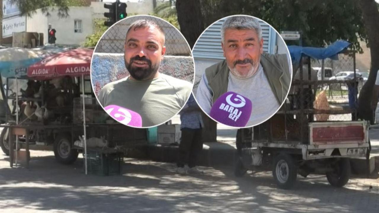 Şanlıurfa'da Canlı Tavuk satıcılarından yer talebi (VİDEO)