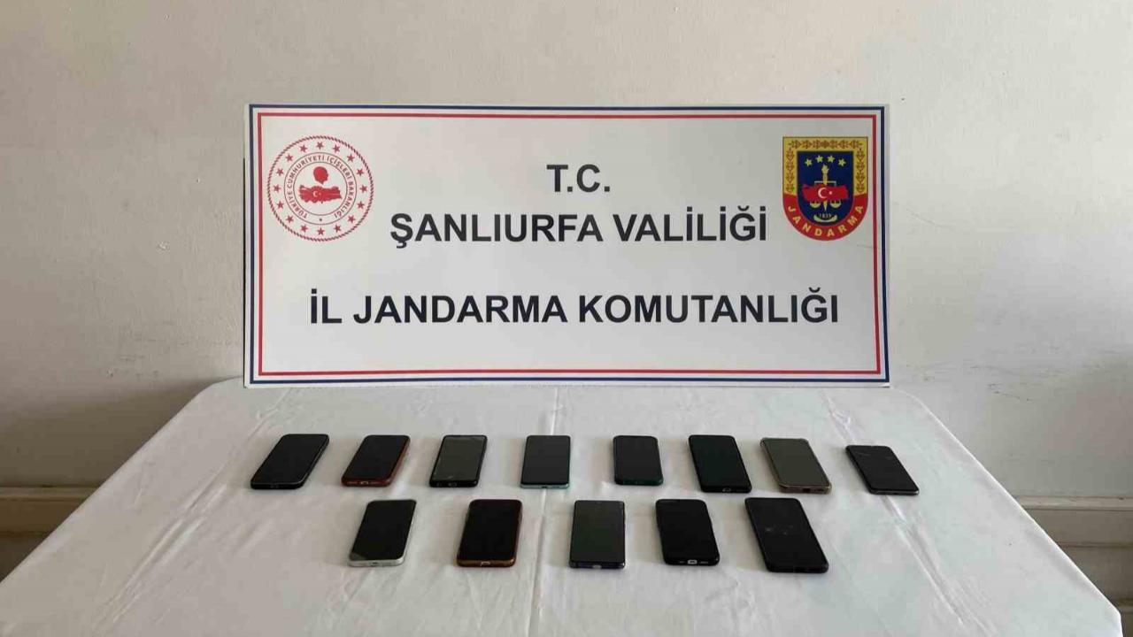 Şanlıurfa’da ehliyet çetesine operasyon: 5 tutuklama