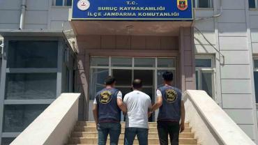 Şanlıurfa'da hırsızlık suçundan aranan şahıs yakalandı