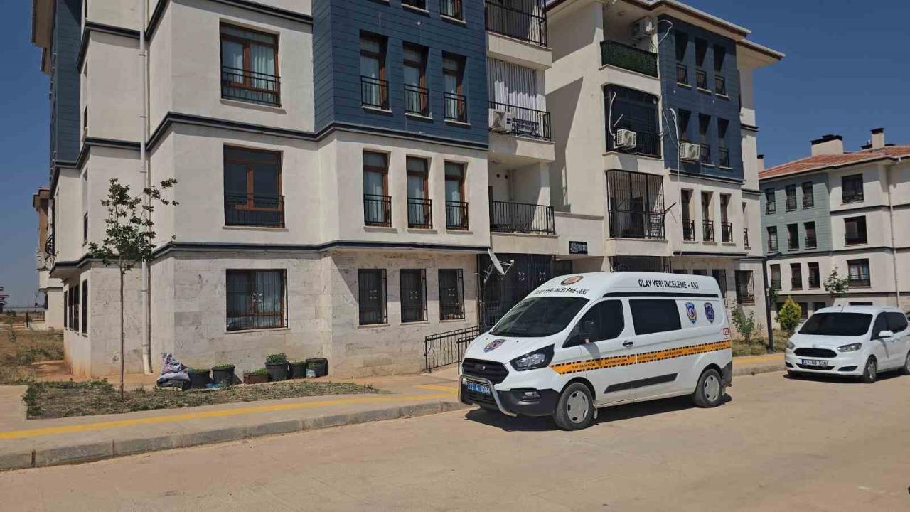 Suç örgütüne operasyon: 9 tutuklama