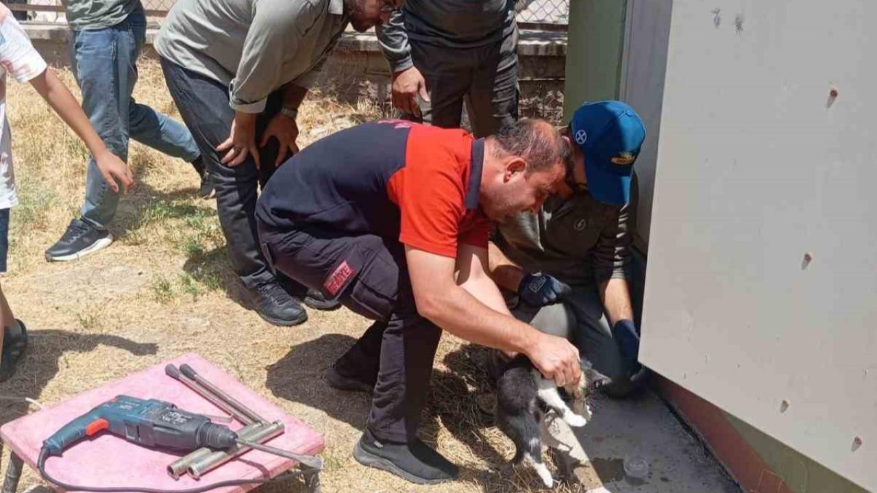 Trafo deliğine başı sıkışan kedi itfaiye ekiplerince kurtarıldı
