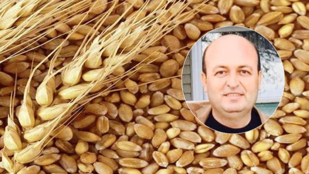 Ziraat Mühendisi Toy: Artık, sadece buğday ekeceğim