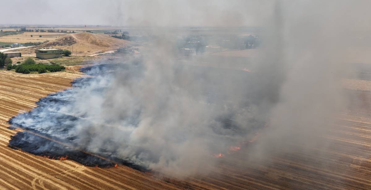 Şanlıurfa’da anıza doğrudan ekim çalışmaları genişletildi